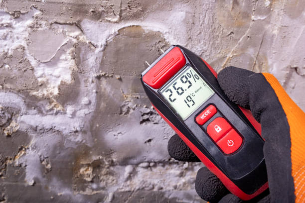 Best Mold Cleaning Services  in Charlestown, MD