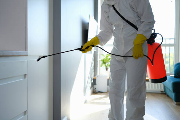 Best Attic Mold Removal  in Charlestown, MD